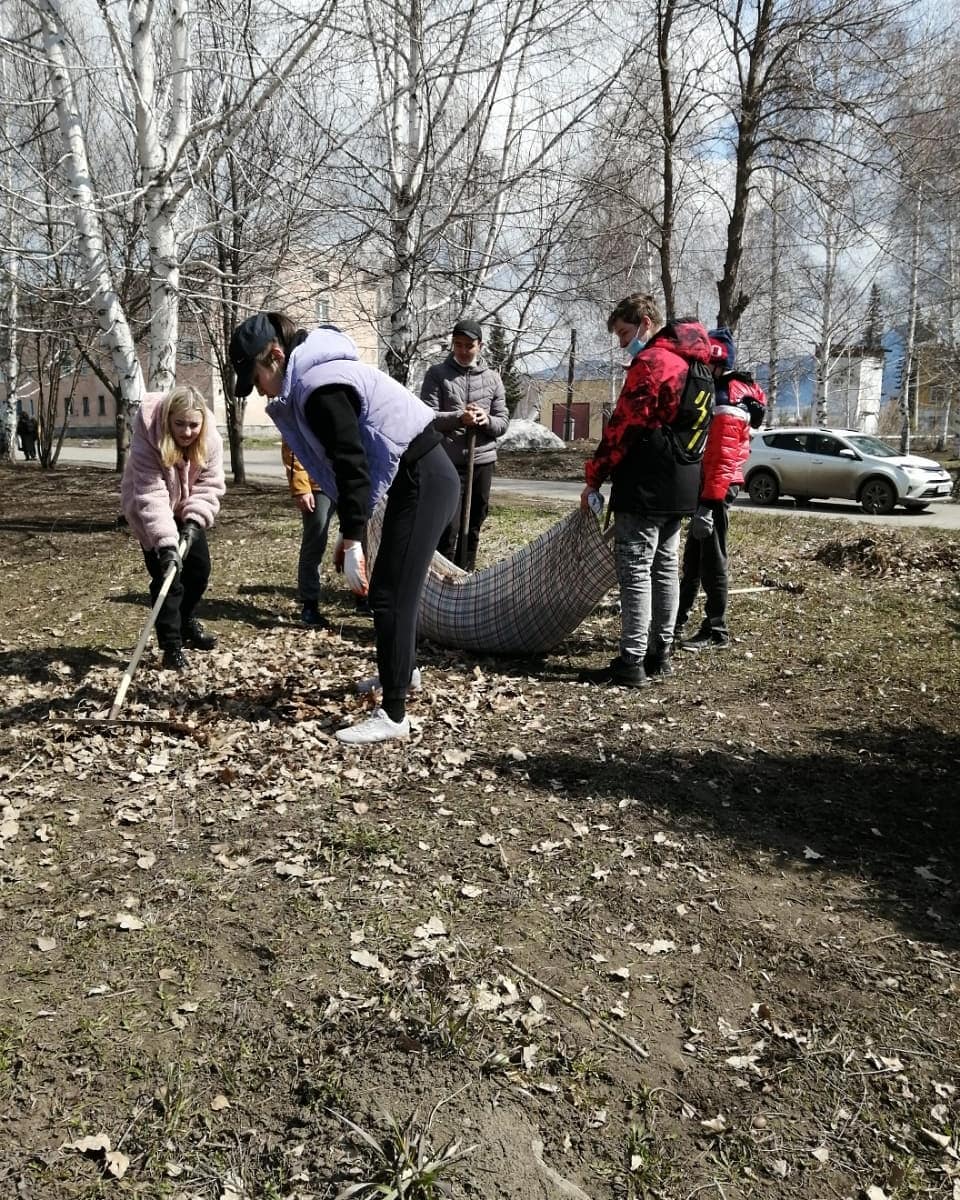 Школьная экологическая акция "Чистый двор"