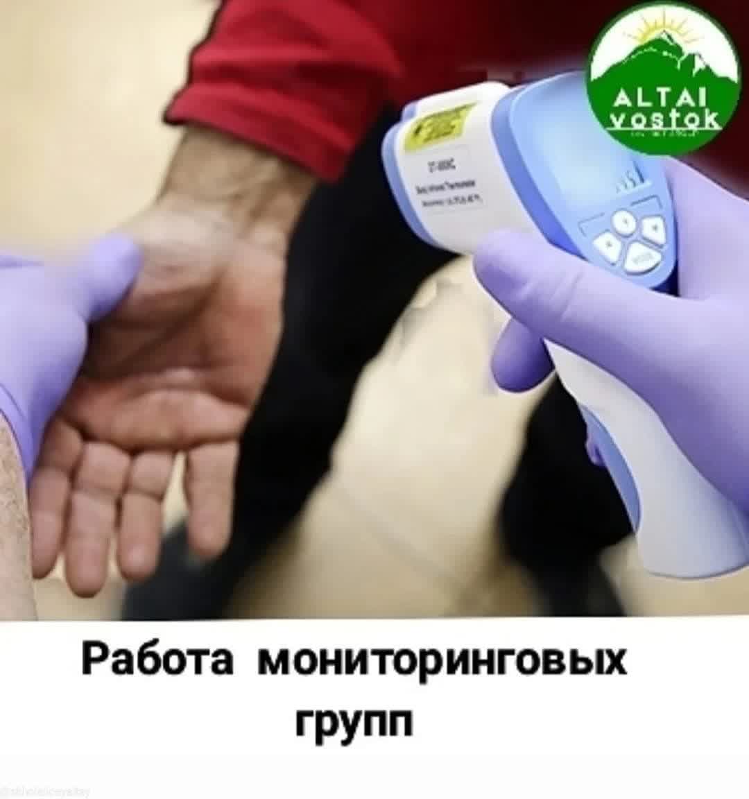 Работа мониторинговых групп