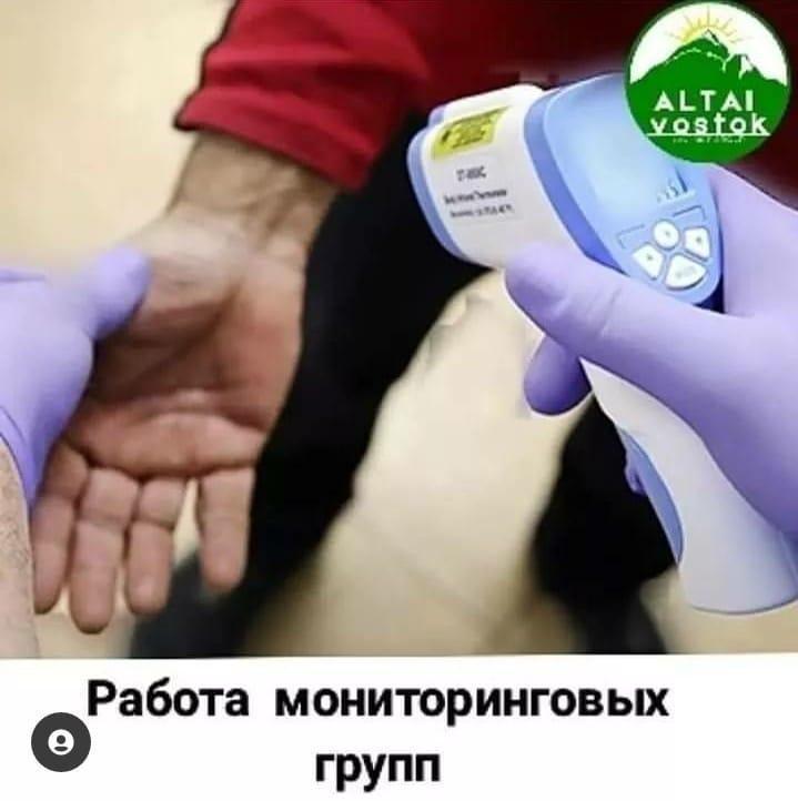 Работа мониторинговых групп