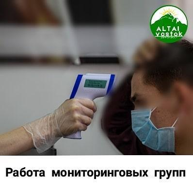 Работа мониторинговых групп