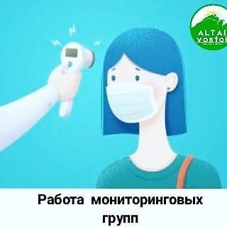 Работа мониторинговых групп